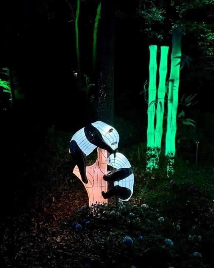 הוט ספרינגס Lake Escape מראה חיצוני תמונה